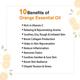 Keya Seth Aromatherapy Orange Facewash, Vitamin C Enriched, SLS Free, Mild Foaming, Brightening Detox 100 ml - Face Wash & Cleansers