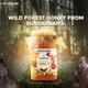Goodcare Sundarbans Wild Forest Honey 500 gm - Honey
