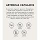 ONE THING Artemisia capillaris Extract 150 ml - Toners