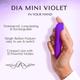 Libertee Dia Violet Mini Bullet Rechargeable Massager 12 Modes & Intensities 1's - Massagers And Vibrators