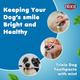 Trixie Dog Toothpaste with Mint 100 gm - Pet Grooming