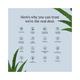 Juicy Chemistry 100% Organic Aloe Vera Water Toning Mist For Sun Damaged & Sensitive Skin 110.0 ml - Face Mists