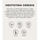 ONE THING Houttuynia Cordata Extract 150 ml - Toners