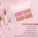 Half N Half Cheekleaders Blusher Palette for a Natural Flawless Look, Happiness-02 13.8 g - Blushes