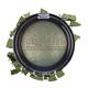 Swiss Beauty Professional Eyeshadow - (Sea Green) 3.5 gm - Eyeshadow, Bases & Primers