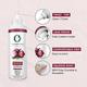Organic Forest 100% VEGAN, Pure and Chemical-Free Onion Oil for Hair Regrowth and Hair Fall Control 100 ml - Hair Oils