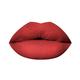 PAC Timeless Matte 12H Longlasting Rich Pigment One Swipe Payoff Smudgeproof - Posh (6.5 ml) - Liquid Lipsticks