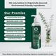 Organic Forest 100% Chemical-Free Anti Hair Fall Conditioner 200 ml - Conditioners