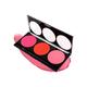 Miss Rose 3 Color Blusher Palette 7004 -006Y 02 20 gm - Blushes