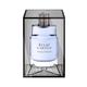 Lanvin Eclat d'Arpege pour Homme EDT 100 ml - Men Perfumes (Edt/Edp)