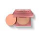 Renee Pro Power Puff Compact Powder- 050 Explore 9 gm - Compact Powder