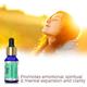 Rey Naturals Rosemary Essential Oil 15 ml - Essential Oils