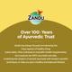 Zandu Chyavanprashad Sugar Free Revitalizer 450 gm - Chyawanprash