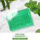 Organic Harvest Luxurious Bathing Bar - Mint, Mint Soap Bar for Gentle Cleansing, Mint Soap Bar 125 gm - Soaps