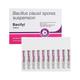 BACIFYL Suspension 5ml - Diarrhoea-Ant
