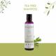 Glamveda Anti Dandruff and Healthy Hydration Tea Tree Shampoo 100 ml - Shampoos