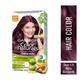 Garnier Color Naturals Creme hair color, Shade 4.20 Wine Burgundy 1's - Crème