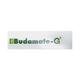 BUDAMATE G Inhalation Capsule 3x10's - Asthma/COPD-Ast