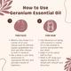 Essentia Extracts Geranium Essential Oil 15 ml - Essential Oils