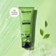 Quench Botanics Matcha Green Tea Face Wash Detoxifies and Purifies Skin for Oil & Acne Control 100 ml - Scrubs & Exfoliants