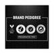 Colorbar XOXO Everlasting Prime Gel Nail Lacquer-Black Magic 7 ml - Nail Polish