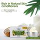 Ayouthveda Delicate Skin Pure Castile Soap 110 gm - Hand Wash & Soaps