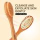 Vega Cellulite Bath Brush Dry Body Brush & Massage For Men & Women, Body Scrubber Brush (Nba-1/1) - Loofahs & Sponges