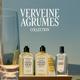 L'Occitane Citrus Verbena Fresh Milk 250 ml - Lotions & Creams