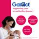 Galact Lactation Granules - Chocolate Flavor 200 g - Nutritional Supplements