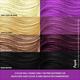 2.Oh! Semi Permanent Hair Color 100 ml each - Purple 2's - Crème