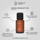 Februus Organics Aromatherapy Oil - Sleep Vetiver & Frankincense 10 ml - Essential Oils