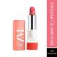 ZM Zayn & Myza Rich Matte Lipstick - Fashionista 4.2 gm - Lipsticks