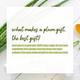 Plum Green Tea Glow Pack Gift Set 255 gm - Facial Kits