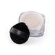 PAC Translucent Powder - Controls Shine, Prevents Flashbacks, Lightweight - 12 (13 g) - Loose Powder