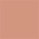 Colorbar Glow & Shine Highlighters - 005 10 gm - Highlighters & Illuminators