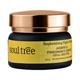 SoulTree Replenishing Night Cream - Jasmine & Pomegranate Drench 25 gm - Night Cream