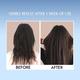 Aravi Organic Adivasi Herbal Hair Growth Carrier Hair Oil 200 ml - Hair Oils