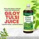 Baidyanath Giloy Tulsi Juice 1 litre - Ayurvedic Juices
