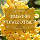 L'Occitane Osmanthus Shower Gel 250 ml - Shower Gels & Body Wash