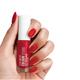 Chambor Colour Studio Le Squad Nail Enamel N 205 Girls Night 6 ml - Nail Polish