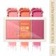 Insight Professional Face Glow Blusher Palette 15 gm - Blushes