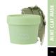 Swiss Beauty Mint Clay Mask 100 gm - Masks & Peels