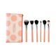 Prolixr Pro Face Makeup Brush Set 6's - Face Brush