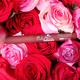 Daily Life Forever52 Velvet Rose Matte Lipstick Rs012 Rs012 3 Ml - Lipsticks