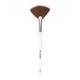 Plume P06 Highlighter Fan Brush 1's - Face Brush