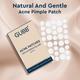 Gubb Acne Pimple Patches 36 Dots/Sheet 30 gm - Others