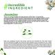 Atulya Jasmine Essential Oil 15 ml - Face Oils