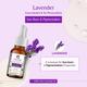 Passion Indulge LAVENDER  Essential oil  For hair gowth and sebum balancer, & stimulant 10ML - Essential Oils