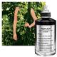 Maison Margiela Soul Of The Forest EDP 100 ml - Perfumes (Edt/Edp)