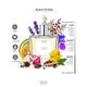 EM5 Viking Perfume for Men - Eau De Parfum Spray, Aromatic Citrus Woody 50 ml - Men Perfumes (Edt/Edp)